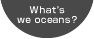 What's we oceans?